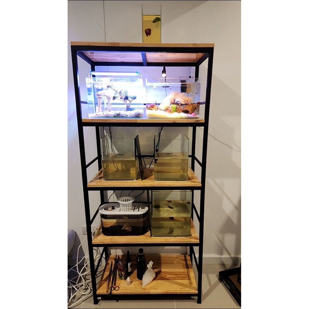 💥ส่งแบบสำเร็จ“ชั้นวางต้นไม้  5 ชั้น กันตก พื้นไม้ 