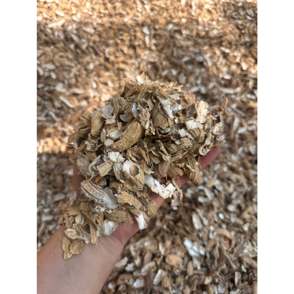 เปลือกถั่วลายเสือ🥜 ขนาด 4 กก. ออร์แกนิค 100% (เกรดพรีเมียม สะอาด แห้งสนิท)