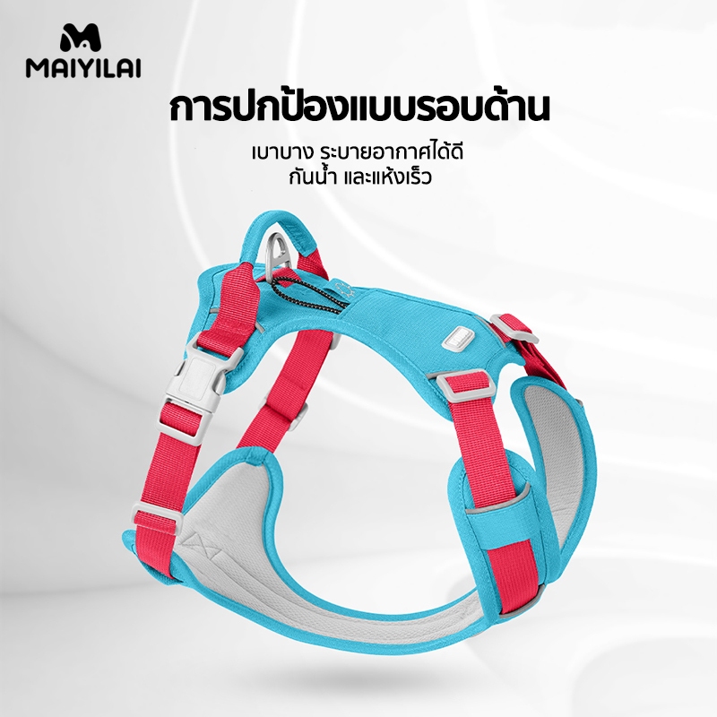 สายรัดอกสุนัขระบายอากาศ กันน้ำ เบาใส่สบาย เหมาะทุกพันธุ์ คู่มือเลือก
