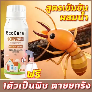 🐜แถมบัวรดน้ำ🐜ยากำจัดปลวก ยากำจัดมด กําจัดปลวก ยาฆ่าปลวก น้ำยากำจัดปลวก 500ml （1ขวดผสมน้ำ 50 ลิตร，1ตัวเป็นพิษ ตายยกรัง）