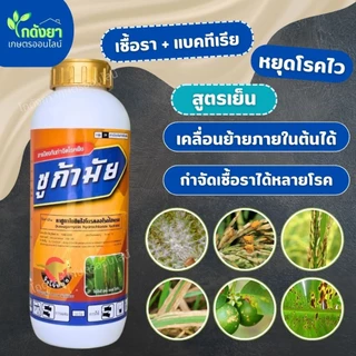 ซูก้ามัย กำจัดรวบ เชื้อรา+แบคทีเรีย คาซูกาไมซิน 1ลิตร สูตรเย็น