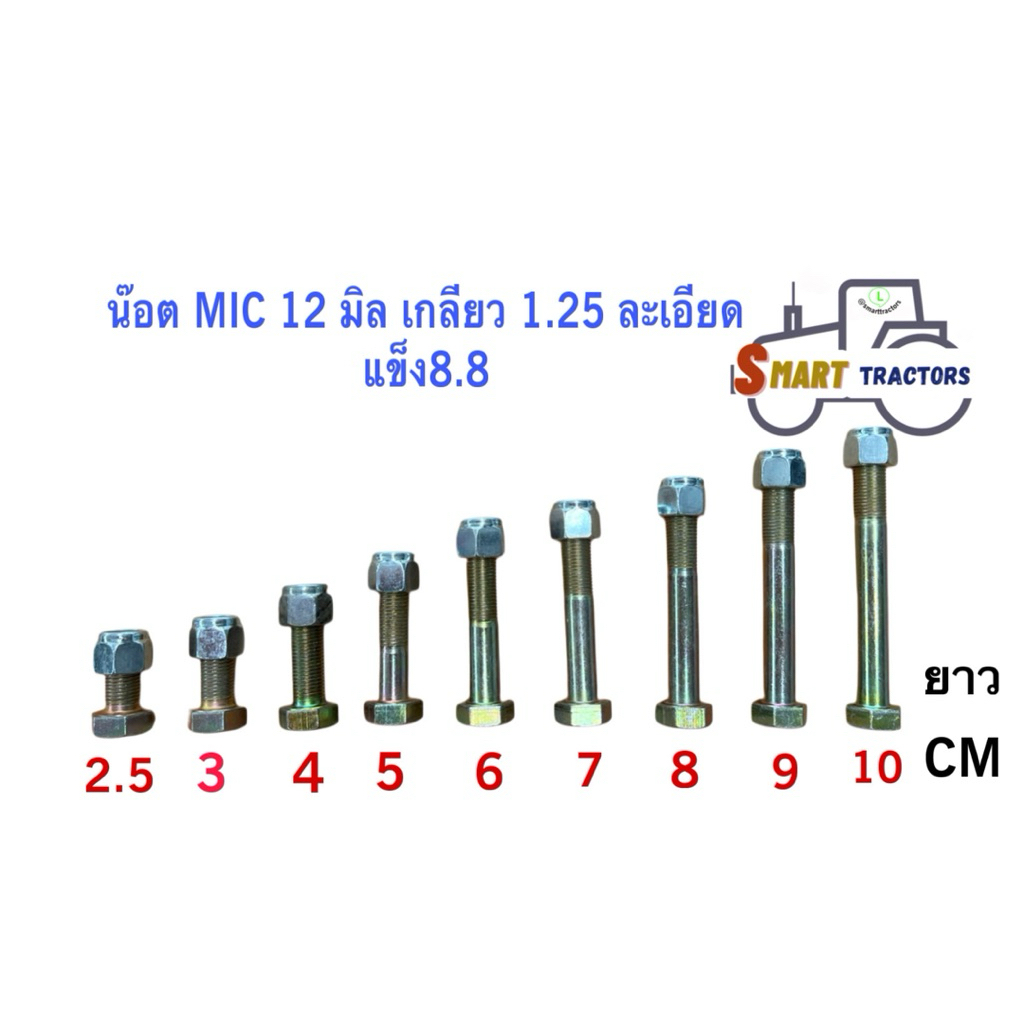 น๊อต MIC M12(12มิล) เกลียว 1.25ละเอียด ความแข็ง8.8 น๊อตเบอร์19