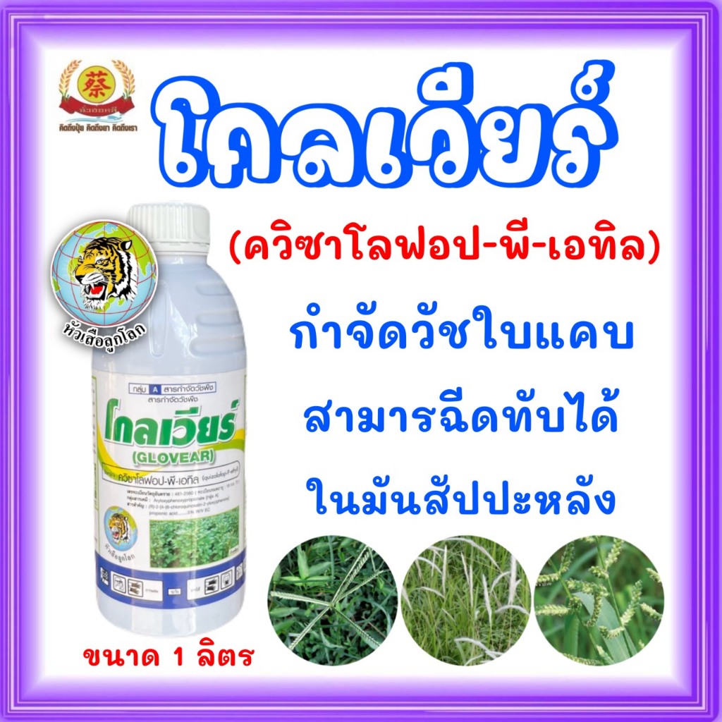 โกลเวียร์ คลิซาโลฟอบ5% ฉีดพ่นทับมันได้ 1ลิตร