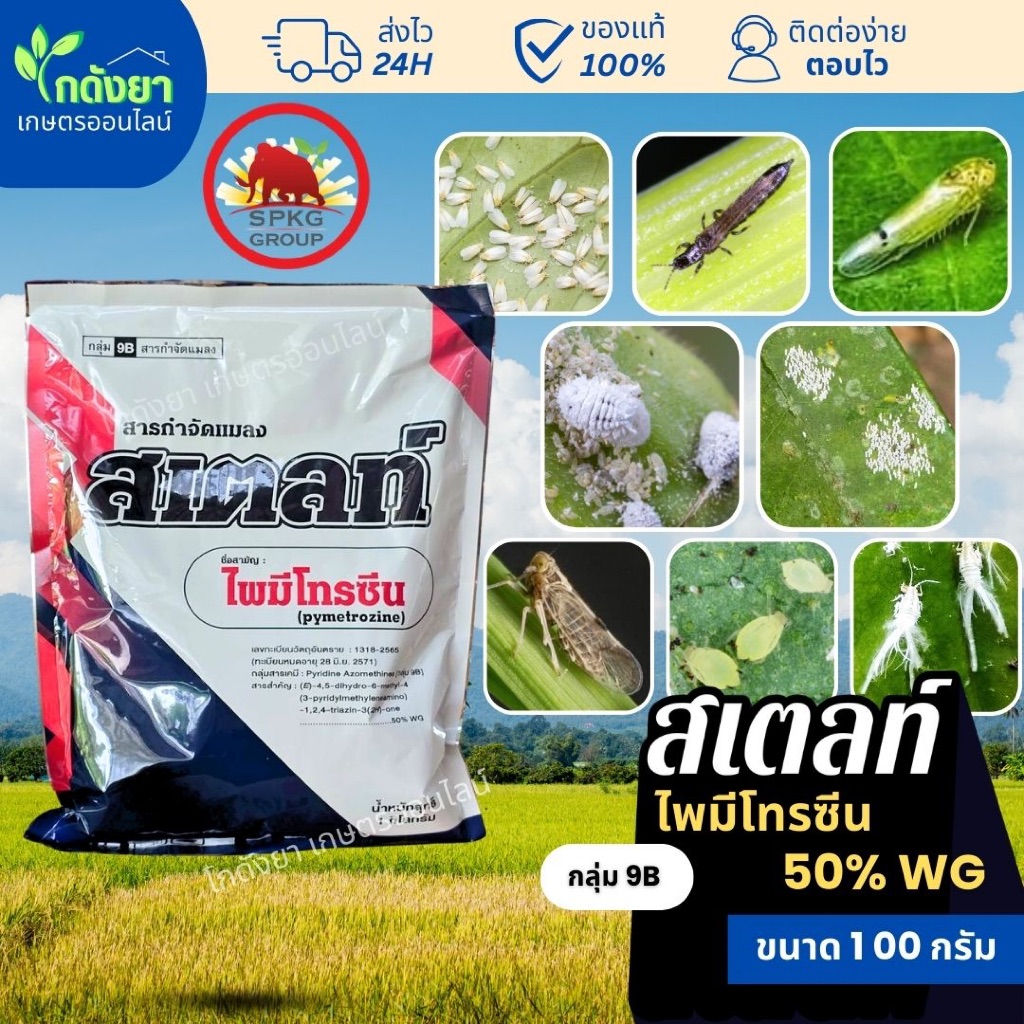 สเตลท์100g [3พลัง หยุดกินภายใน1ชั่วโมง] ไพมีโทรซีน 50% หยุดกิน หยุดเกาะ หยุดวางไข่ กำจัดเพลี้ยดื้อยาได้ทุกชนิด