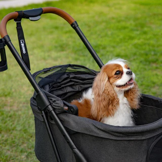 Bernd รุ่น Lina Pet Auto Fold รถเข็นสัตว์เลี้ยง พับอัตโนมัติ