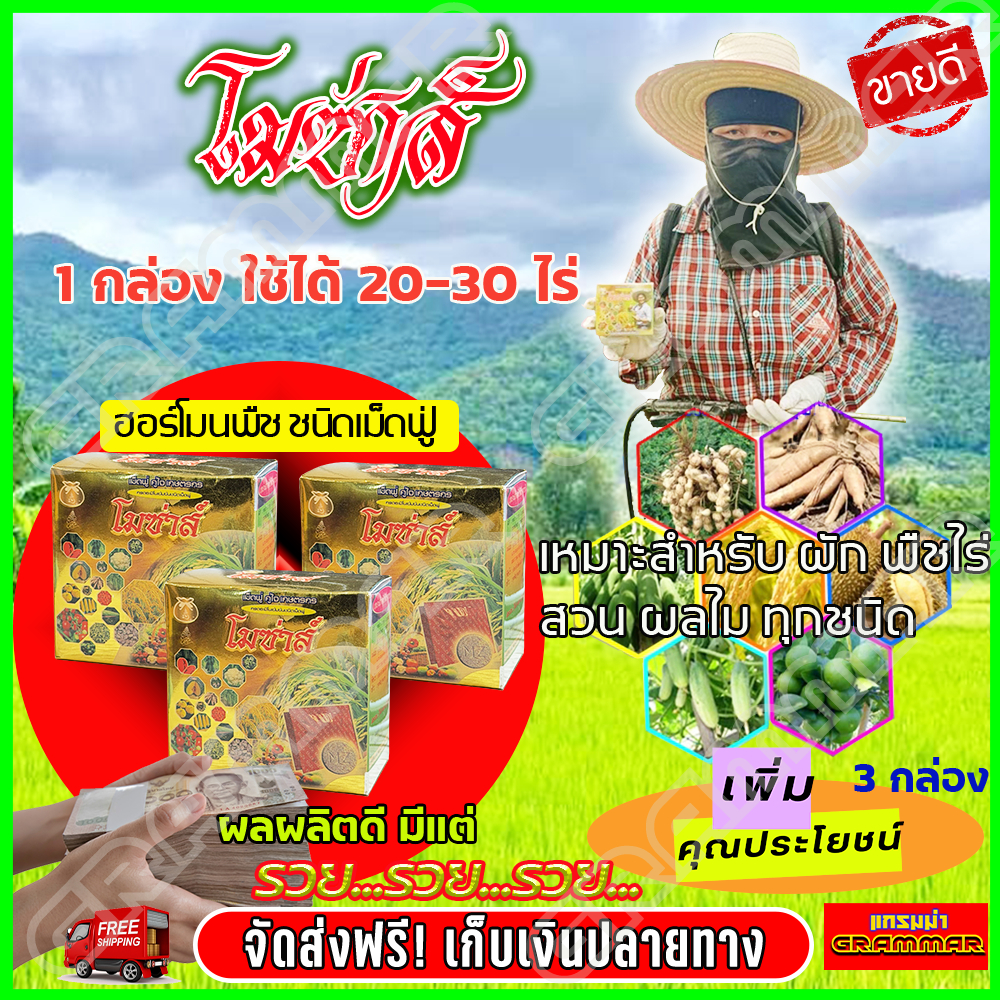 โมซ่าส์ MOZA ปุ๋ยโมซ่าส์ ( 3 กล่อง ) โมซ่า ปุ๋ยฮอร์โมน กรดอะมิโนสูง อาหารเสริมสำหรับพืชไร่ พืชสวน ข้าว บำรุงใบ บำรุงราก