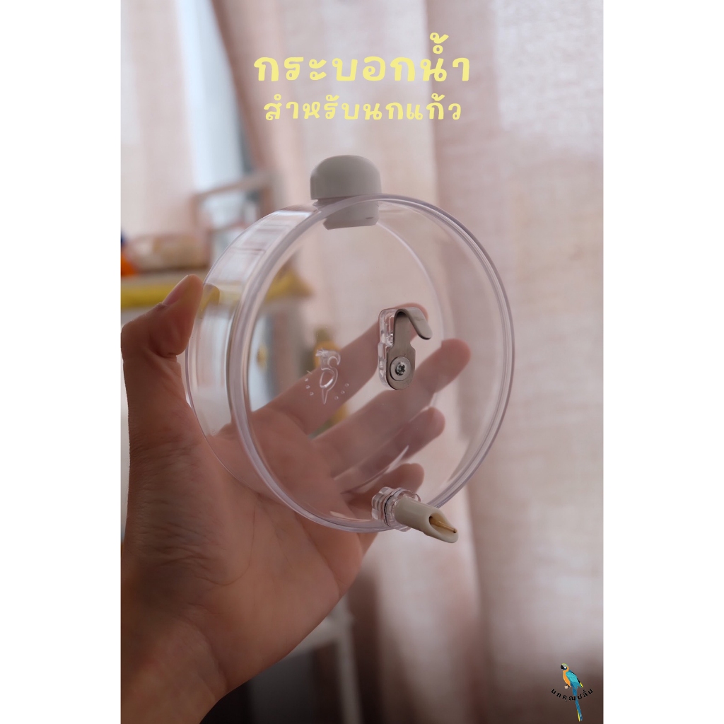 กระบอกน้ำสำหรับนกแก้วมีเดือยทองเหลือง พร้อมส่ง