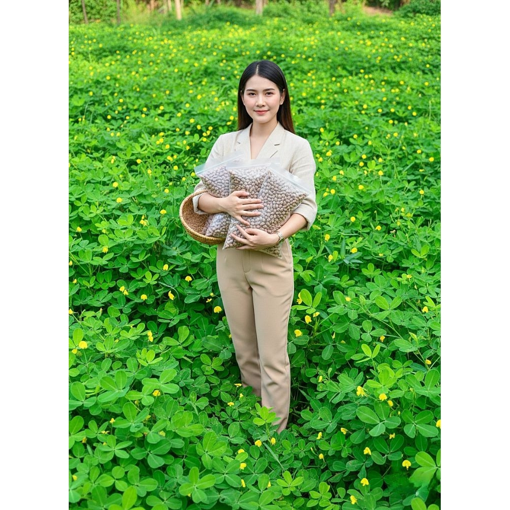 เมล็ดพันธุ์ถั่วบราซิล200เมล็ด ปลูกประดับสวยงาม พืชคลุมดิน สนามหญ้า จัดสวน