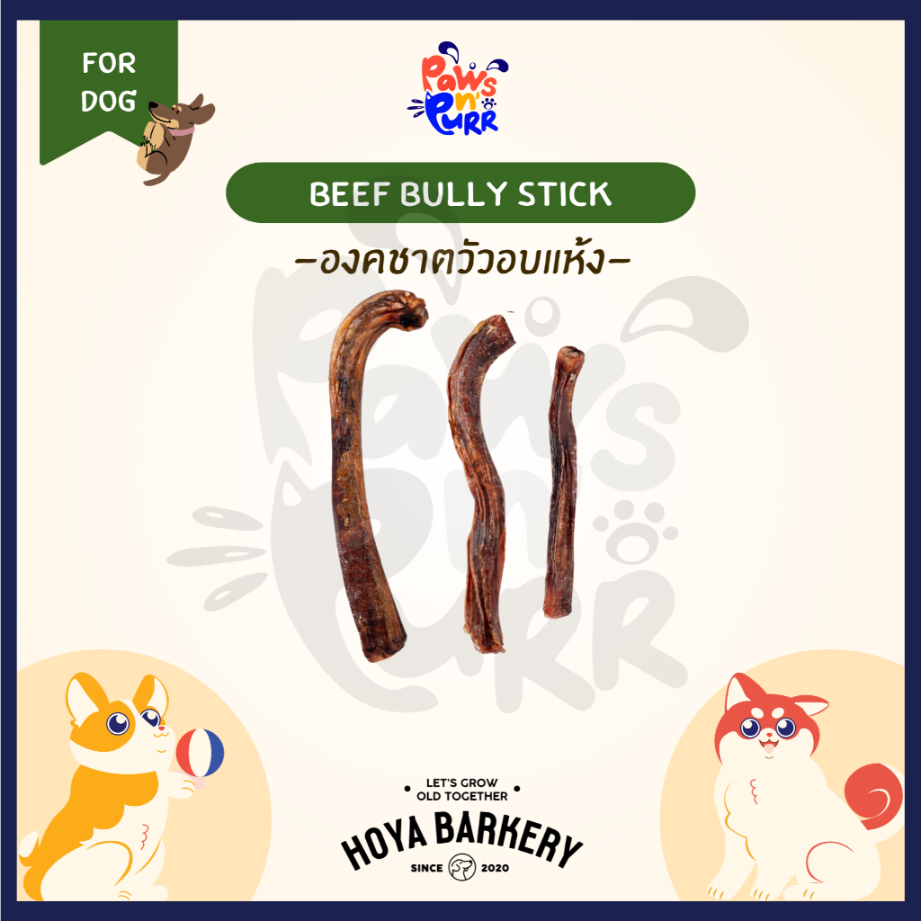 Hoya Barkery Beef Bully Stick ขนมสำหรับสุนัข องคชาตวัวอบแห้ง