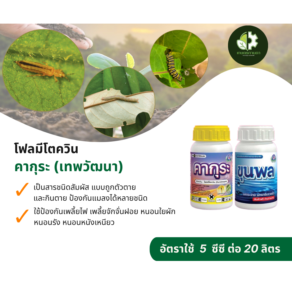 คากุระ 250 ซีซี (โฟลมีโตควิน)เป็นสารชนิดสัมผัสใช้ป้องกันเพลี้ยไฟ เพลี้ยจักจั่นฝอย หนอนใยผัก หนอนรัง