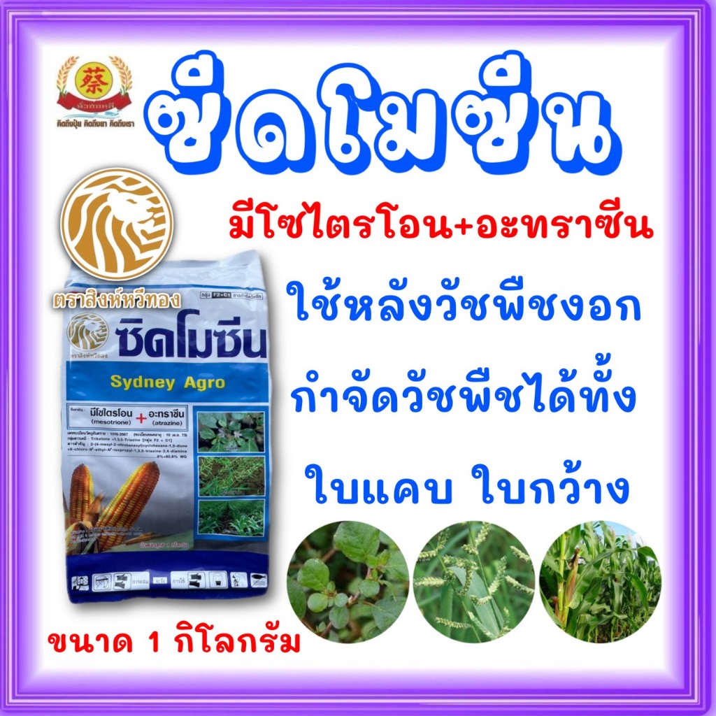 ซิดโมซีน มีไซไตรโอน+อะทราซีน กำจัดวัชพืชในข้าวโพด ขนาด 1 กิโลกรัม