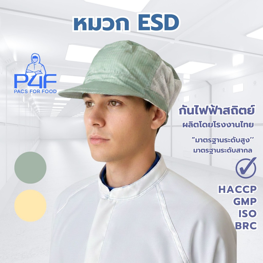 ESD CAP หมวกกันไฟฟ้าสถิตย์