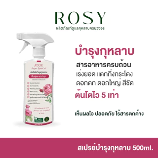 Rosy บำรุงกุหลาบ [ฉลากชมพู 500 ML] เร่งดอก ดอกใหญ่ ฟื้นฟูเร่งด่วน แก้ต้นโทรม ธาตุอาหารครบถ้วนสำหรับกุหลาบ ปุ๋ยกุหลาบ