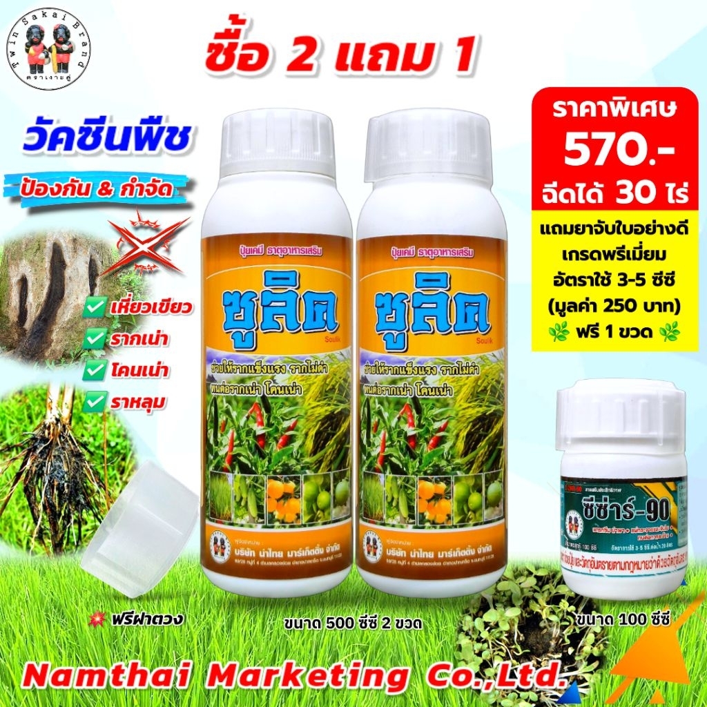ตราเงาะคู่ ซูลิค ป้องกัน รากเน่า โคนเน่า เน่าคอดิน เหี่ยวเขียว รากดำ [2 แถม 1]
