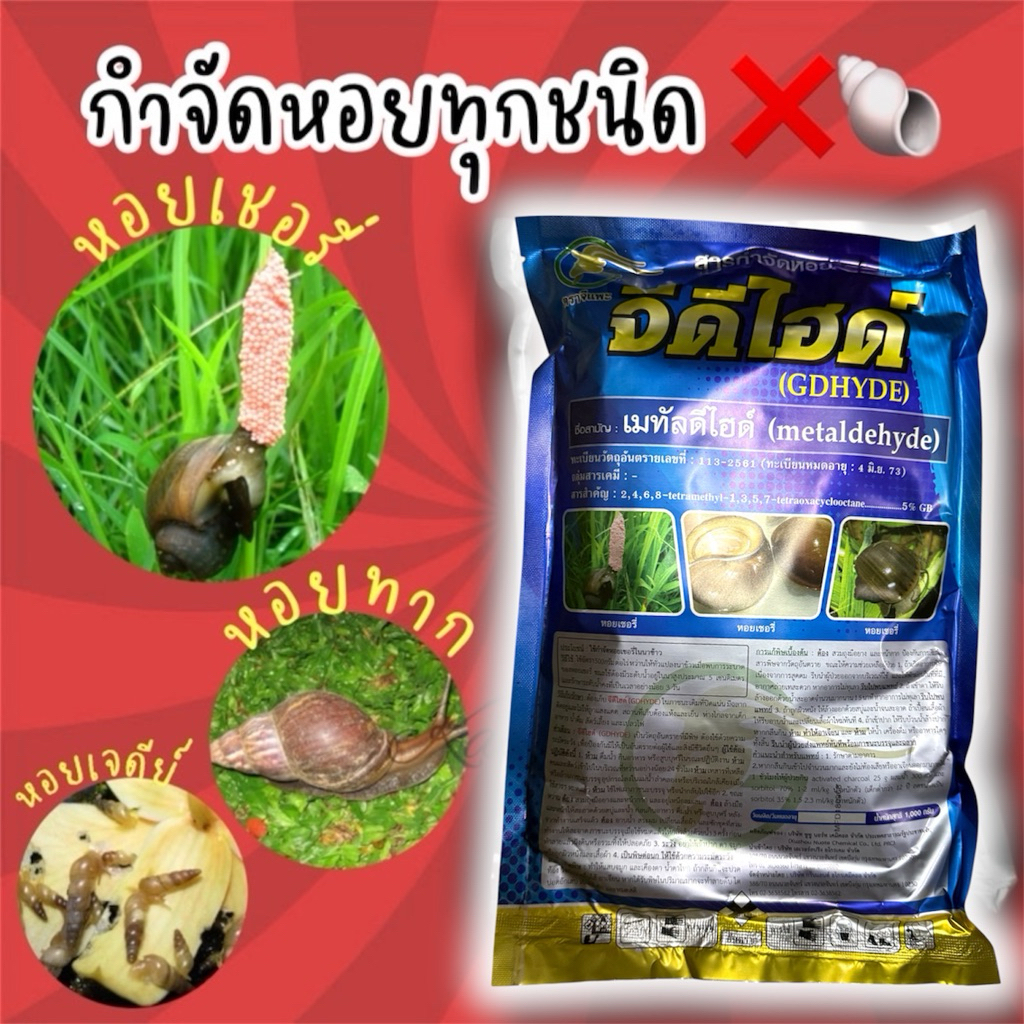 ❌ เมทัลดีไฮด์ 5% #จีดีไฮด์ 🐌🐚 กำจัดหอยทุกชนิด หอยเจดีย์ หอยทาก หอยเชอรี่ ตามแปลงผัก นาข้าว กระถางต้นไม้