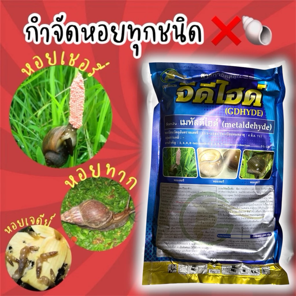 ❌ เมทัลดีไฮด์ 5% #จีดีไฮด์ 🐌🐚 กำจัดหอยทุกชนิด หอยเจดีย์ หอยทาก หอยเชอรี่ ตามแปลงผัก นาข้าว กระถางต้นไม้