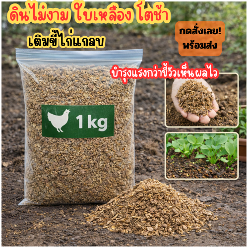 ขี้ไก่แกลบ 1 kg ปุ๋ยคอกอินทรีย์ บำรุงดิน ผักโตไว ดินร่วน ไม่เหม็น ปลูกผ้กงาม