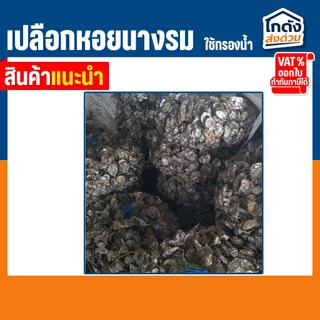 เปลือกหอยนางรม 6 kg.ใส่ถุงตาข่ายอวนเขียว พร้อมใช้งาน