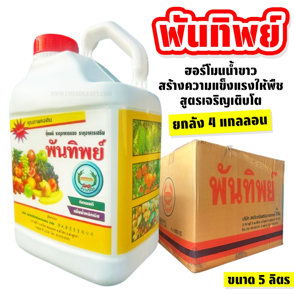 (ยกลัง4แกลลอน) พันทิพย์ ขนาด 5 ลิตร ฮอร์โมนน้ำขาว ตรา หวีทอง