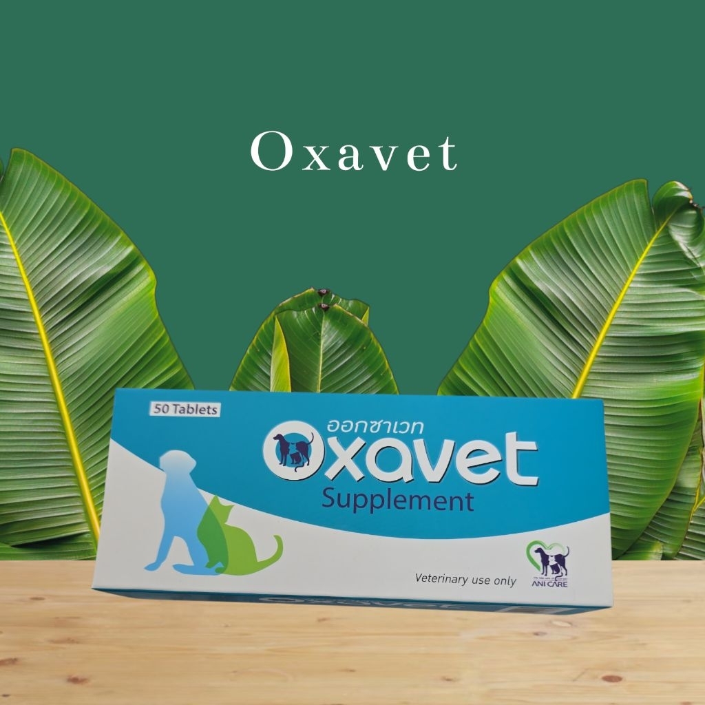 🦮 Oxavet (50 เม็ด) 🐈‍⬛