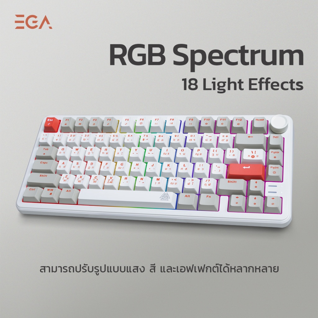 [ประกัน 2 ปี] EGA คีย์บอร์ดเกมมิ่งขนาด75% เชื่อมต่อBT, wireless,สาย Hot Swap 5 Pin รุ่น TYPE CMK10 Mechanical Full RGB