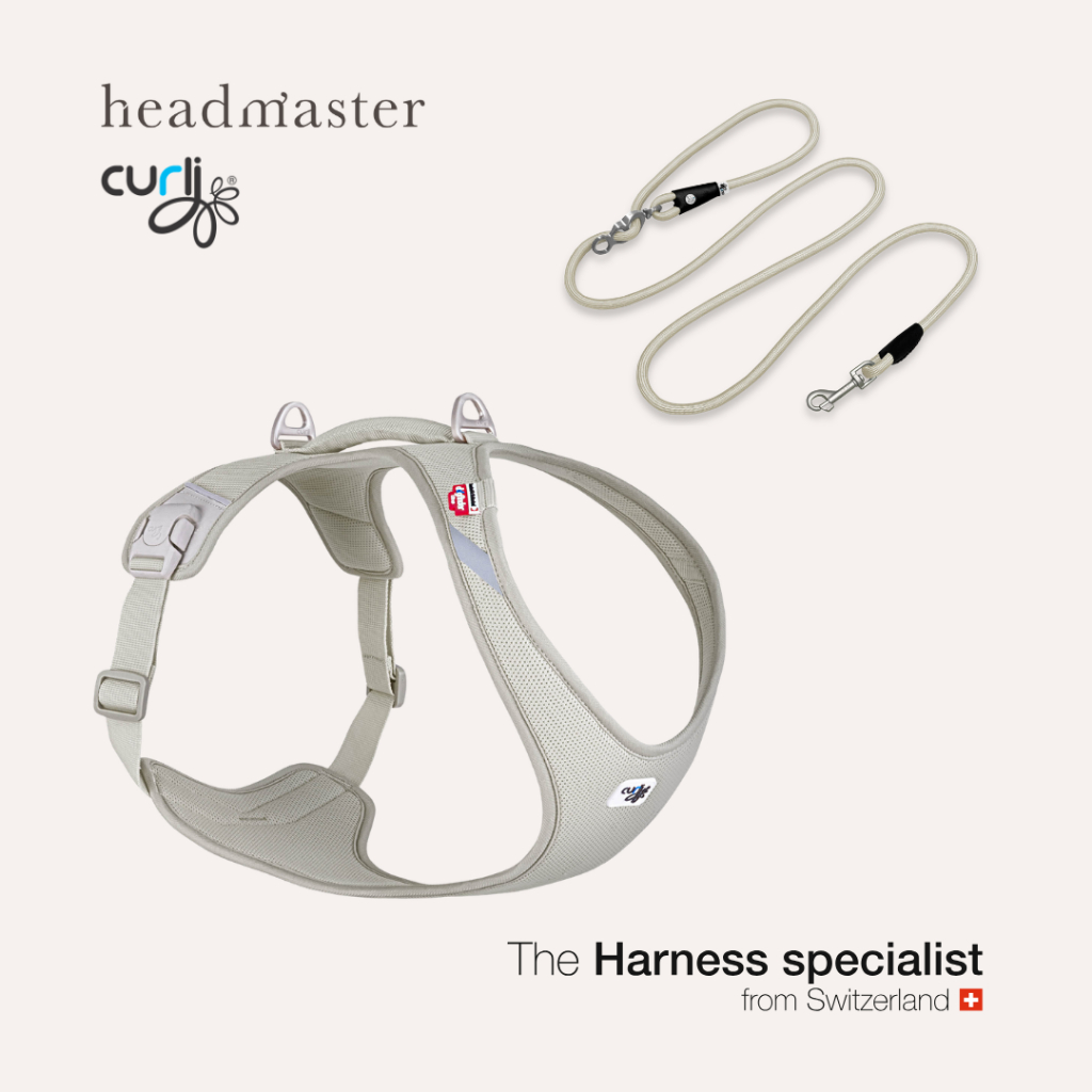 curli All New Belka Comfort Harness และสายจูง Vario Set เซ็ตสายรัดอก และ สายจูง