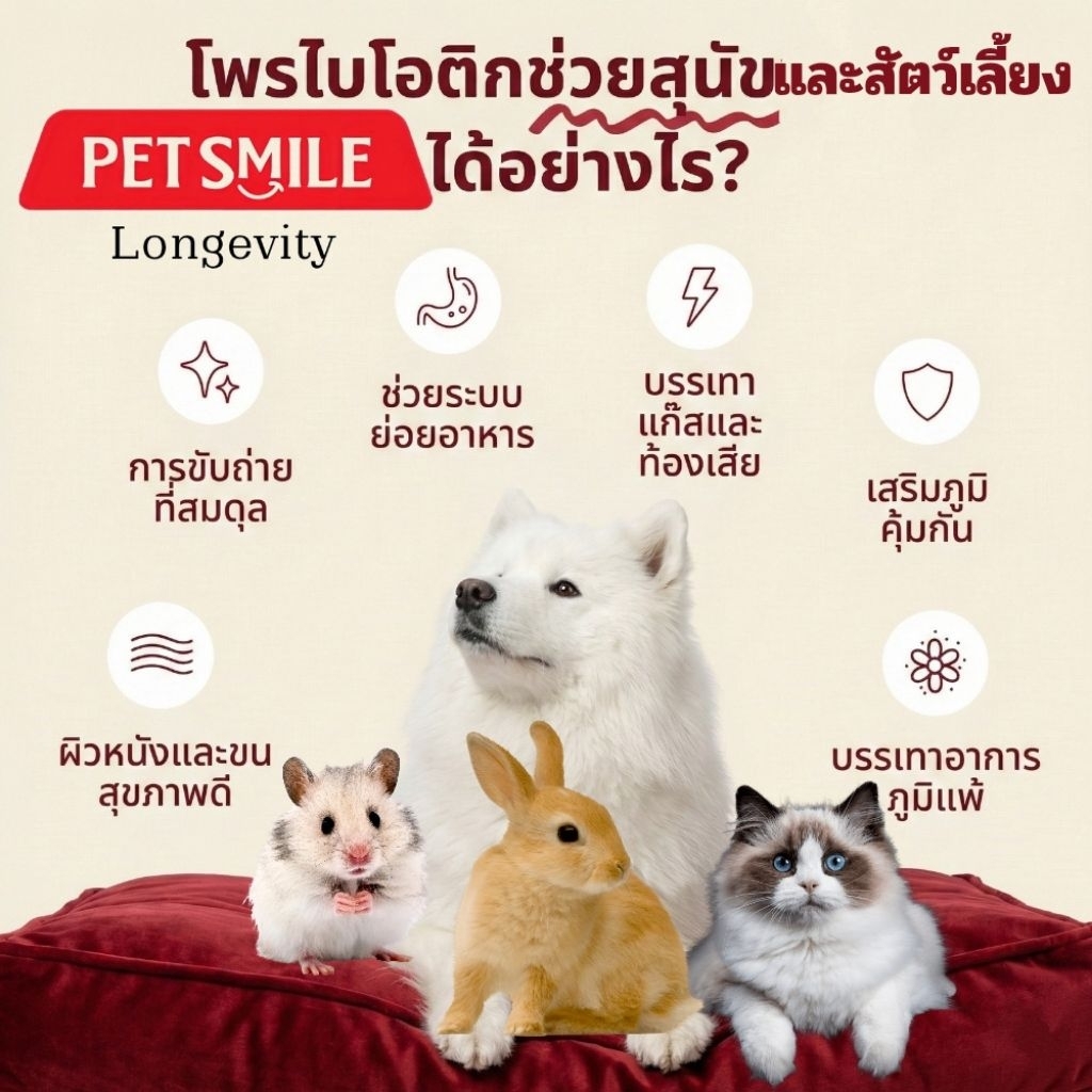 PETSMILE Yogurt  โยเกิร์ตนมแพะสดแท้ ไม่ผสมนมโค (30ml) สูตร Longevity  ปรับสมดุลลำไส้ สุนัข/แมว สัตว์ฟันแทะ ราคา ถูกที่สุด ดีลบีเคเค แกลเลอรีภาพที่ 4