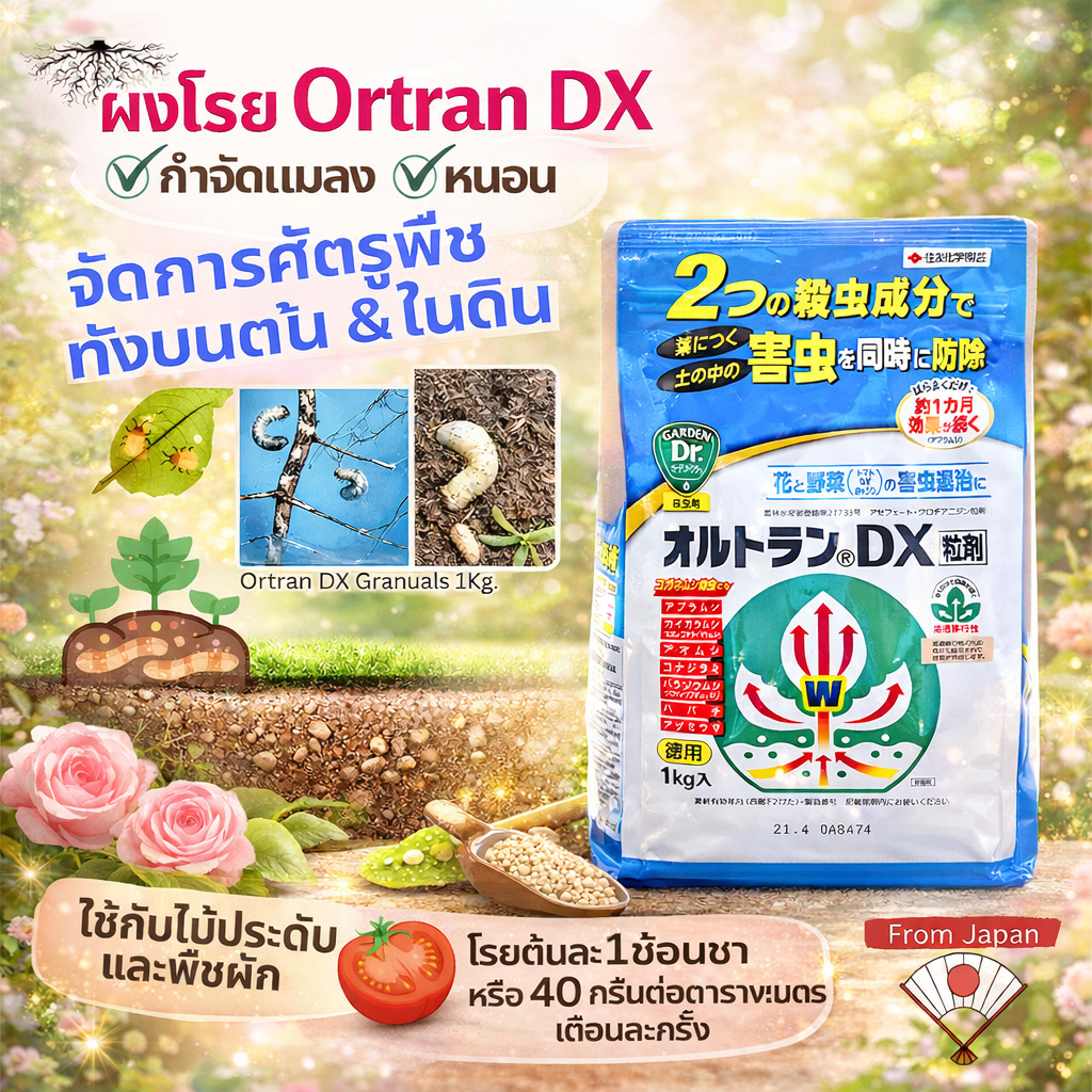 ผงโรยกำจัดแมลง หนอน เพลี้ย ไรแดง Ortran DX กำจัดทั้งบนต้นและในดิน กุหลาบ ไม้ดอก พืชผัก 1Kg