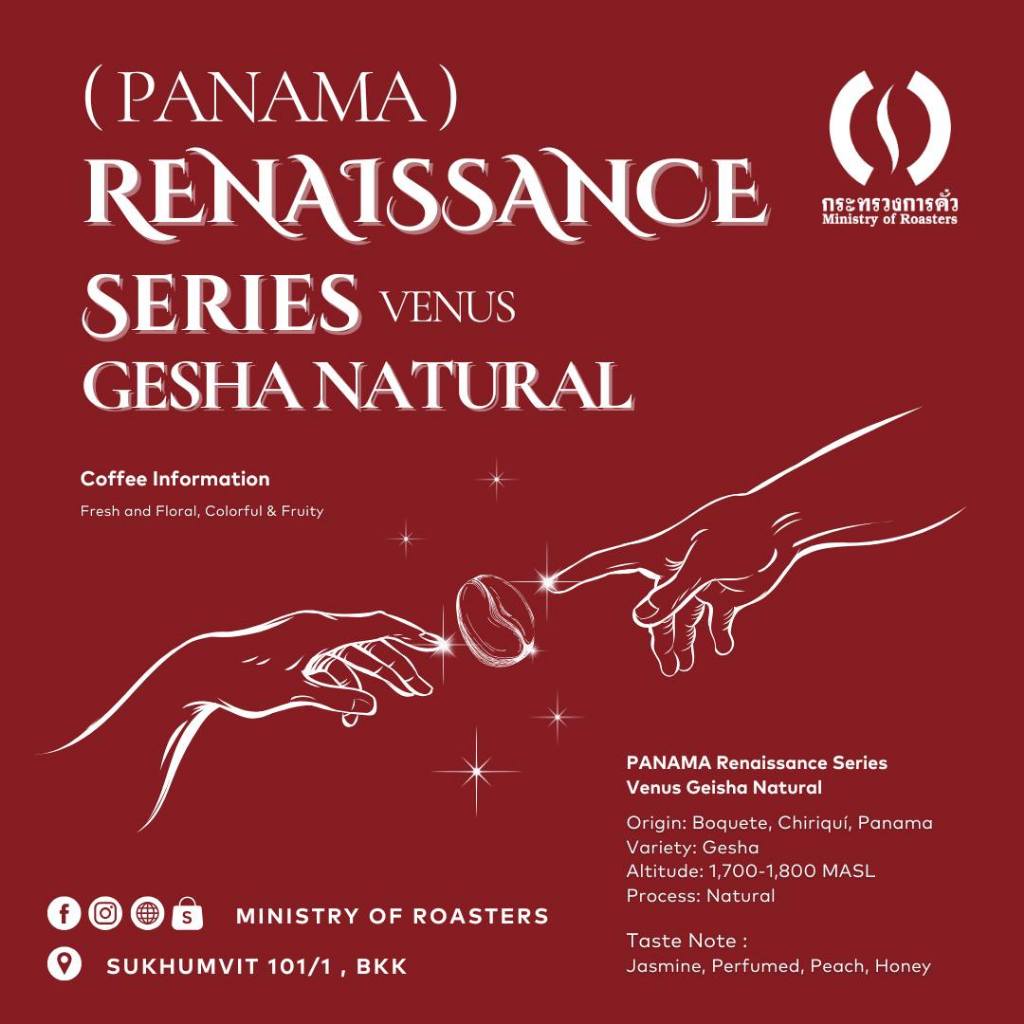 เมล็ดกาแฟ Panama Renaissance Series - Venus Gesha Natural