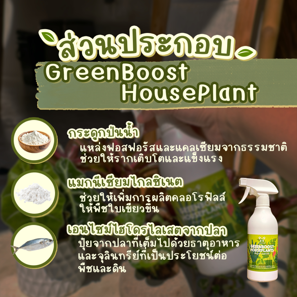 อาหารเสริมบำรุงพืช Green Boost บำรุงไม้ใบ ไม้ฟอกอากาศ ผักสลัด สวนครัว ไม้ดอก ปุ๋ยน้ำ100%ออร์แกนิค [Organic BioStimulant] รูปที่ 4