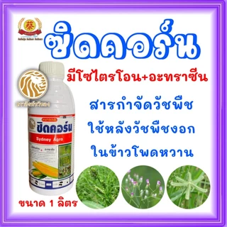 ซิดคอร์น มีไซไตรโอน+อะทราซีน กำจัดวัชพืชแบบทับได้ในข้าวโพด ขนาด1ลิตร