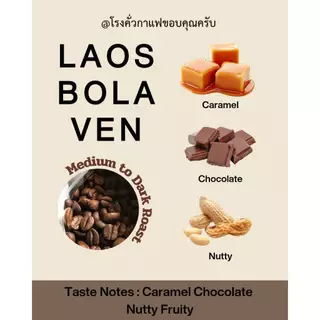 กาแฟลาวโบลาเวน Bolaven, เมล็ดกาแฟคั่วเกรดAA อาราบิก้า คั่วกลางค่อนเข้ม,Premium+,Laos Bolaven Arabica, MediumtoDark Roast