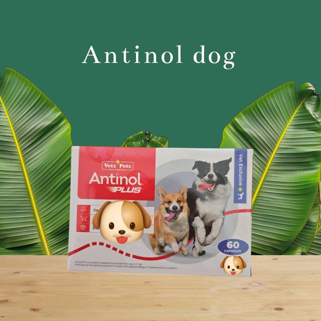 🐕 Antinol dog (60 capsule)