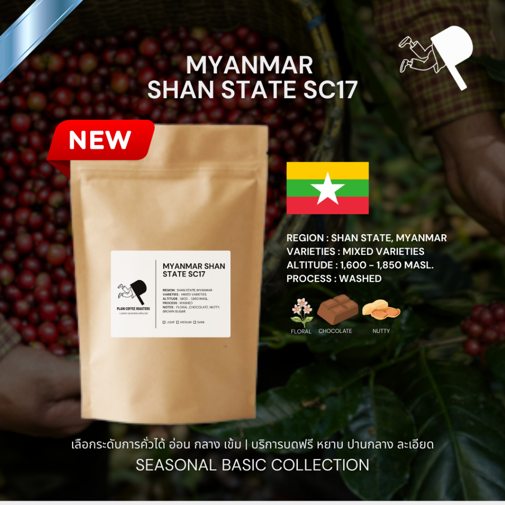 [เลือกระคั่วได้/บดฟรี] MYANMAR SHAN STATE SC17 เมล็ดกาแฟ อาราบิก้า 100% | PLAIN COFFEE ROASTERS