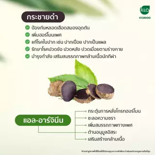 กระชายดำ พลัส แอล-อาร์จินีน L-Arginine บำรุงร่างกาย ลดอาการอ่อนเพลีย ขาวละออ Khaolaor 10/60 แคปซูล