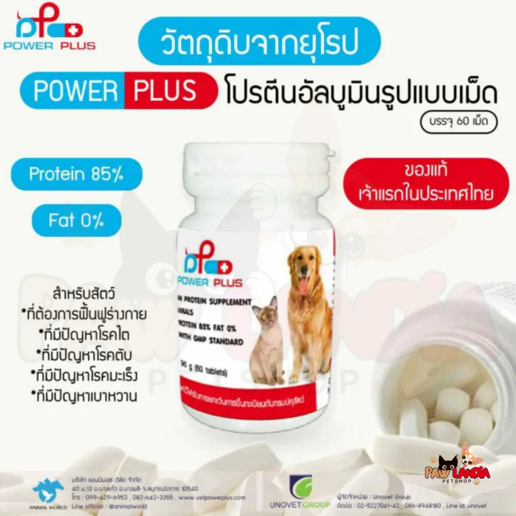 Albumin protein สำหรับสุนัขและแมว ขนาด 60 เม็ด หมดอายุ 07/2027
