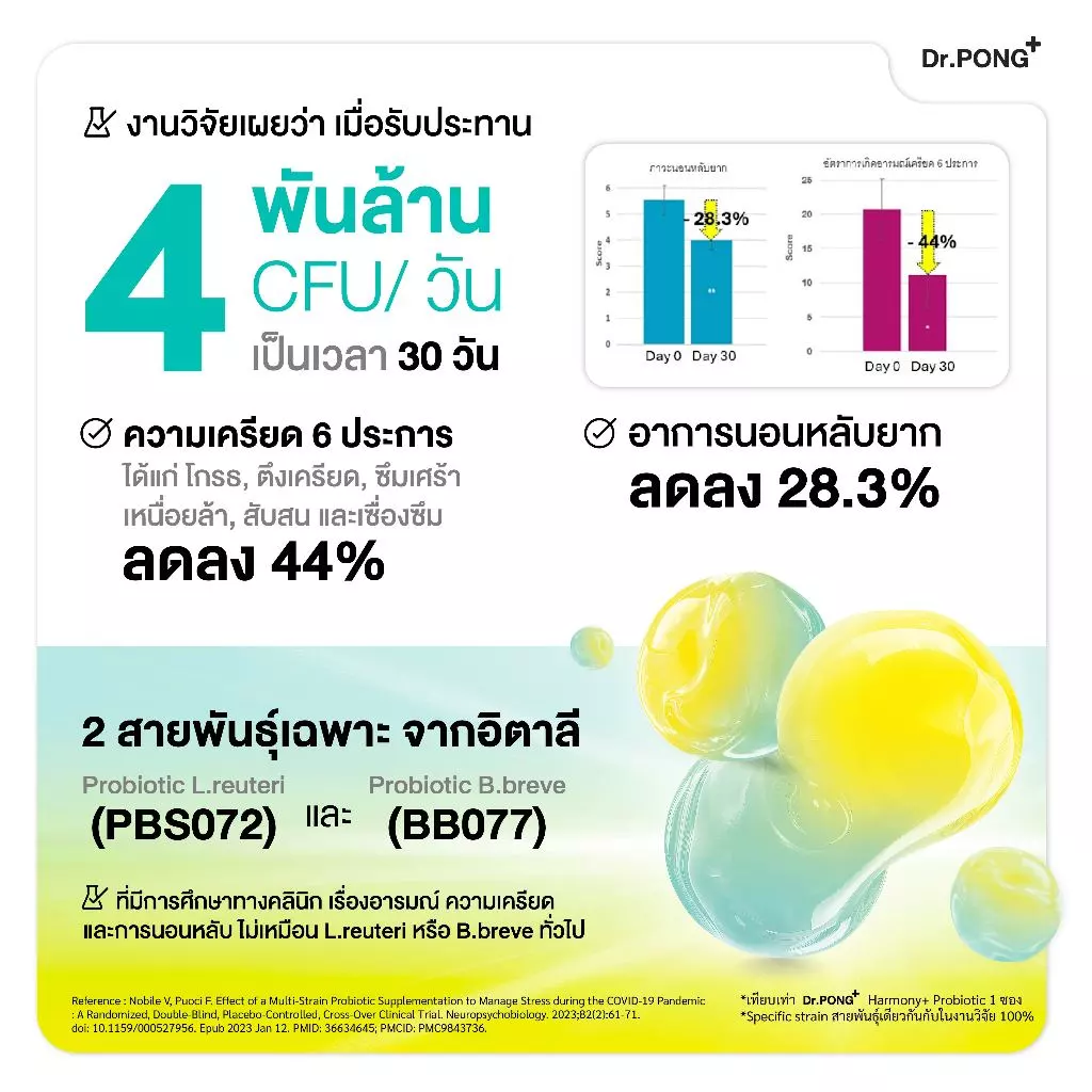 [ช้อปครบ รับฟรี!]  Dr.PONG Harmony Probiotic โพรไบโอติก กรอกปาก  จุลินทรีย์ดีบำรุงสมอง thumbnail 7
