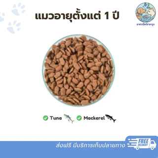 Catty Pro อาหารแมว แคทตี้โปร ขนาด 7 kg รสแซลมอนเทอริยากิ