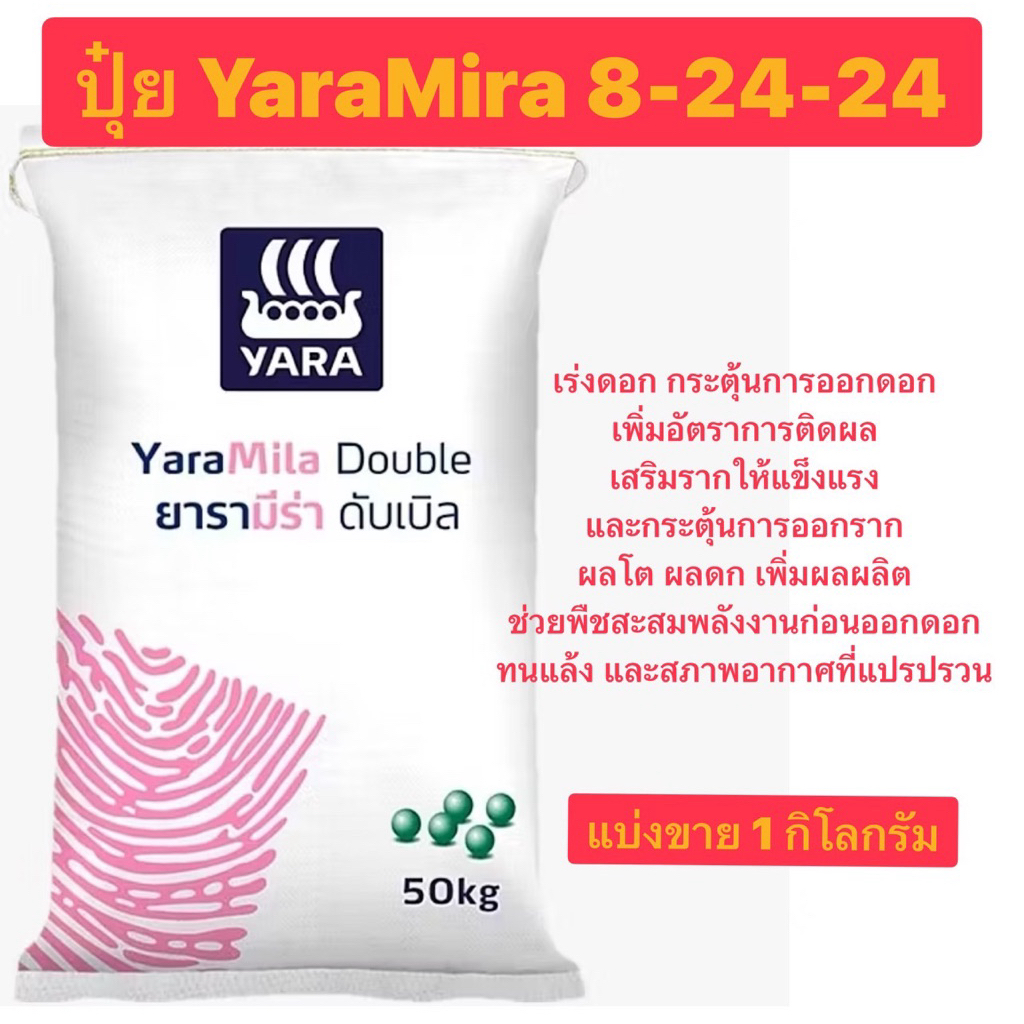 ปุ๋ยเคมียาร่ามีร่า 8-24-24 แบ่งขาย1 กิโลกรัม