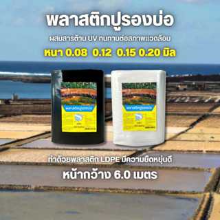 พลาสติกปูบ่อ ปูบ่อ LDPE ขนาด 6.0 × 15 เมตร สีดำ/สีใส