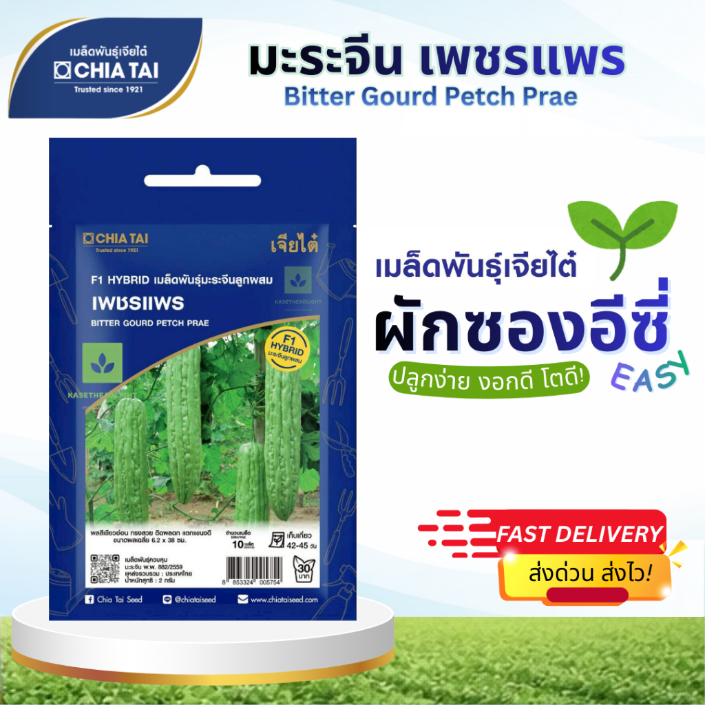 Easy เมล็ดพันธุ์มะระจีน เพชรแพร 8เมล็ด เจียไต๋ Bitter Gourd Petch Prae