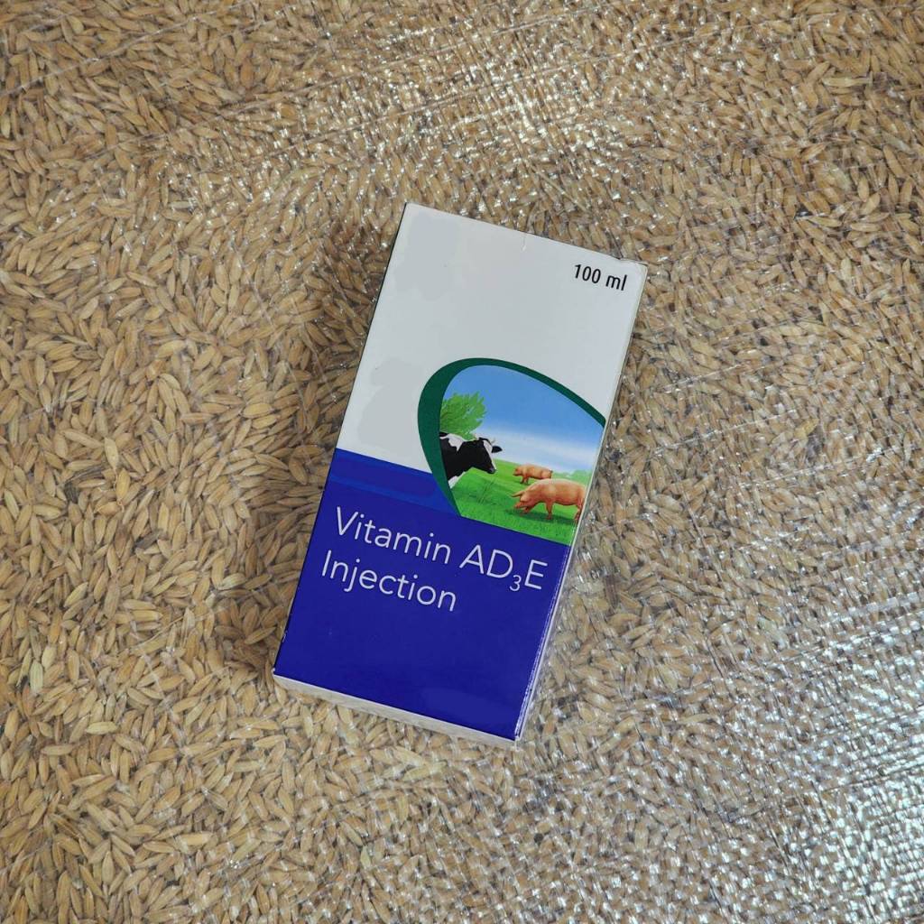 ข้าวเปลือกอาหารไก่ เo ดี 3 อิ