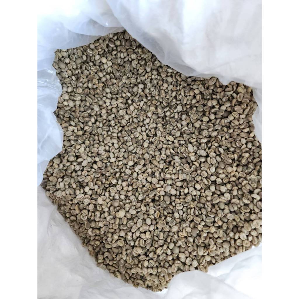 ยก 10kg. สารกาแฟดอยปางขอน Arabica 100% เกรด A จาก ดอยปางขอน จ.เชียงราย