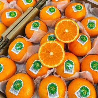 🍊ส้มไต้หวัน 1 กิโลกรัม ลูกสวย คัดพรีเมี่ยมรสชาติติดอับดับ อร่อยมากเนื้อหวานฉ่ำ ทานแล้วสดชื่นมาก