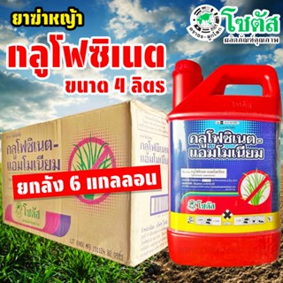 (ยกลัง6แกลลอน) กลูโฟซิเนต โซตัส 4 ลิตร สารกำจัดหญ้าทุกชนิด ใ…