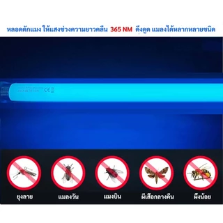 (2 ชิ้น) หลอดนีออน แบล็คไลต์ ดักยุง และ แมลง T8 10W 15W 18W แสงฟ้า หลอดไล่แมง กระชอน แมงดา แมงเล่นไฟ หลอดล่อแมลง