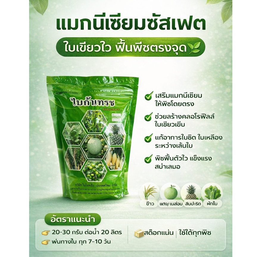 // 6 กิโลกรัม // ไบก้าเทรซ แมกนีเซี่ยมซัลเฟต (รูปคีเลท)( Magnesium ) ช่วยสังเคราะห์แสง ใบเขียวเข้ม