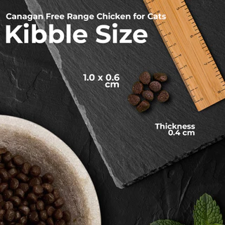 Canagan คานาแกน อาหารแมว สูตร ไก่ ฟรีเรนจ์ ขนาด 375 กรัม