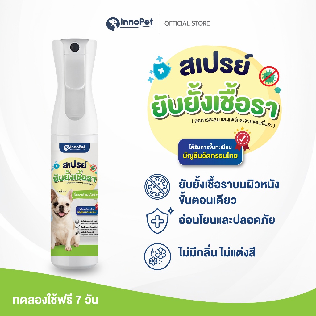 InnoPet สเปรย์ยับยั้งเชื้อรา น้องหมา สุนัข ลดการแพร่กระจายของเชื้อรา ลดคันลดขนร่วง อ่อนโยนปลอดภัย ไม่แต่งสี ไม่แต่งกลิ่น