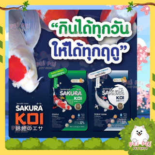 ⚡Flash Sale⚡อาหารปลาคาร์ฟ Sakura Koi (ซากุระ โค่ย) สูตรสมดุล Staple Formular ขนาด 1.25 กก และ 6.5 กก